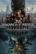 Watch Black Panther: Wakanda Forever 9Movies