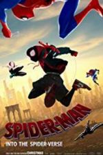 Watch Spider-Man: Into the Spider-Verse 9Movies