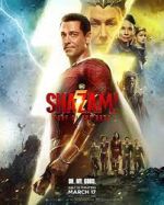 Watch Shazam! Fury of the Gods 9Movies