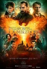 Watch Fantastic Beasts: The Secrets of Dumbledore 9Movies