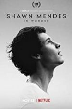 Watch Shawn Mendes: In Wonder 9Movies
