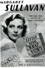 Watch Little Man What Now 9Movies