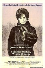 Watch Summer Wishes, Winter Dreams 9Movies