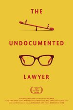 Watch The Undocumented Lawyer 9Movies