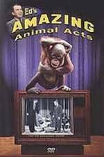 Watch Ed's Amazing Animal Acts 9Movies
