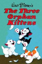 Watch Three Orphan Kittens 9Movies