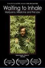 Watch Waiting to Inhale 9Movies