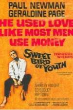 Watch Sweet Bird of Youth 9Movies