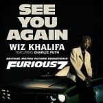 Watch Wiz Khalifa Ft. Charlie Puth: See You Again 9Movies