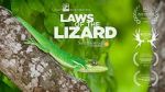 Watch Laws of the Lizard 9Movies