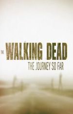 Watch The Walking Dead: The Journey So Far 9Movies