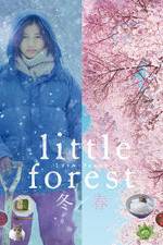Watch Little Forest: Winter/Spring 9Movies
