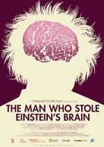 Watch The Man Who Stole Einstein\'s Brain 9Movies