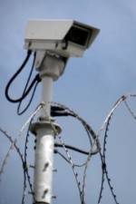 Watch Out Of Jail And On The Streets 9Movies