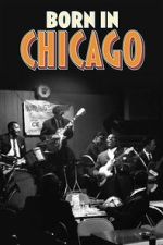 Watch Born In Chicago 9Movies