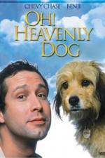 Watch Oh Heavenly Dog 9Movies