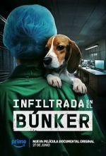 Watch Infiltrada en el búnker 9Movies