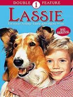Watch Lassie: A New Beginning 9Movies