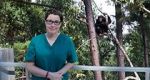 Watch Sue Perkins and the Chimp Sanctuary 9Movies