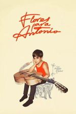 Watch Flores para Antonio 9Movies