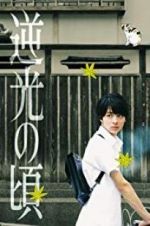 Watch Lights of Kyoto 9Movies