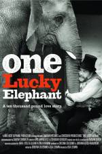 Watch En lycklig elefant 9Movies