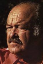 Watch The Return of Frank Cannon 9Movies