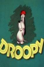Watch Homesteader Droopy 9Movies