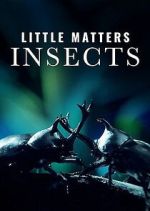 Watch Little Matters: Insects 9Movies
