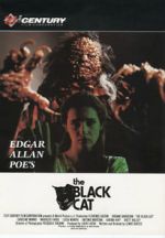 Watch The Black Cat 9Movies