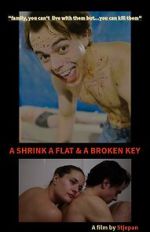 Watch A Shrink A Flat & A Broken Key 9Movies