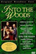 Watch Into the Woods 9Movies