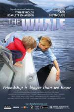 Watch The Whale 9Movies