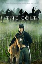 Watch The Colt 9Movies