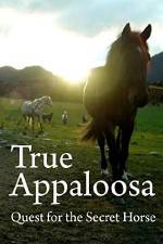 Watch True Appaloosa 9Movies