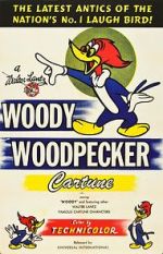 Watch The Woody Woodpecker Polka 9Movies