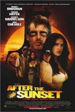 Watch After the Sunset 9Movies