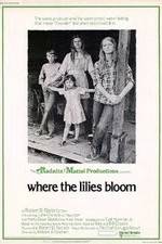 Watch Where the Lilies Bloom 9Movies