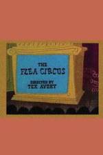 Watch The Flea Circus 9Movies
