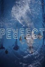 Watch Perfect 9Movies