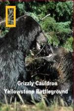 Watch National Geographic Grizzly Cauldron 9Movies