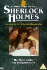 Watch The Dying Detective 9Movies