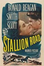 Watch Stallion Road 9Movies