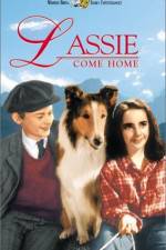 Watch Lassie Come Home 9Movies