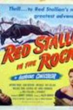 Watch Red Stallion in the Rockies 9Movies