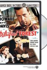 Watch The Petrified Forest 9Movies