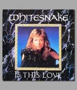 Watch Whitesnake: Is This Love 9Movies