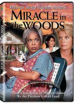 Watch Miracle in the Woods 9Movies
