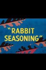 Watch Rabbit Seasoning 9Movies