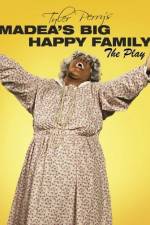 Watch Madea's Big Happy Family 9Movies